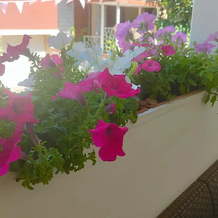 Eriale Nuova Gestione 2* ريميني