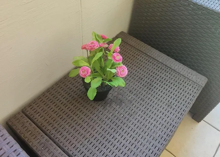 Eriale Nuova Gestione فندق ريميني