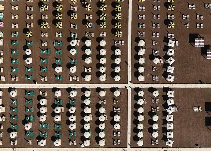 Eriale Nuova Gestione