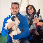 Eriale Nuova Gestione Hotel Rimini