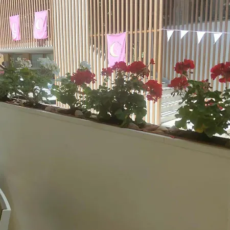 Eriale Nuova Gestione Otel 2*