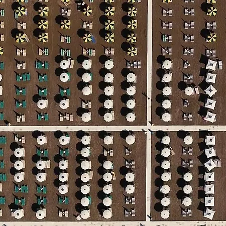 Eriale Nuova Gestione