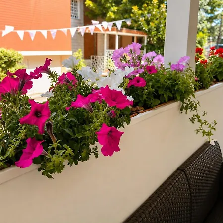 Hotel Eriale Nuova Gestione 2*