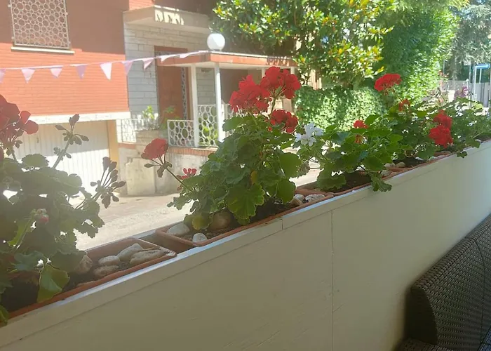 Eriale Nuova Gestione Hotel Rimini