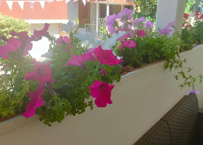 Eriale Nuova Gestione 2* Rimini