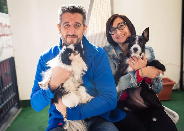 Eriale Nuova Gestione Hotel Rimini