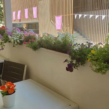 Eriale Nuova Gestione 2* Rimini