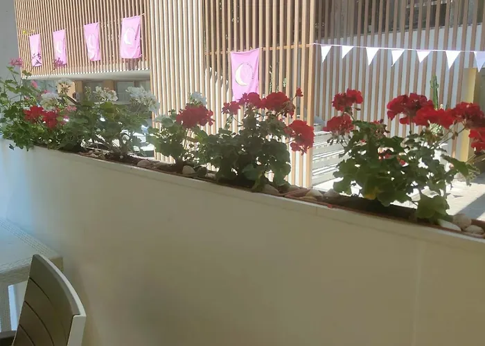 Eriale Nuova Gestione Hotel 2*